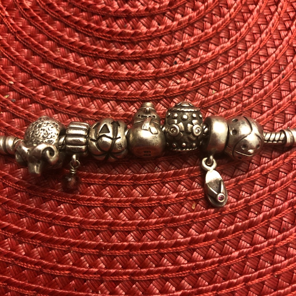 Pandora Charms